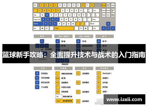 篮球新手攻略：全面提升技术与战术的入门指南